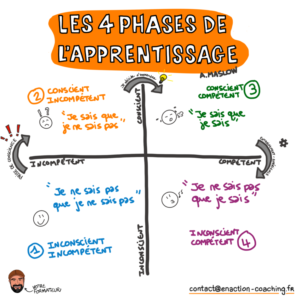 4 phases de l' apprentissage